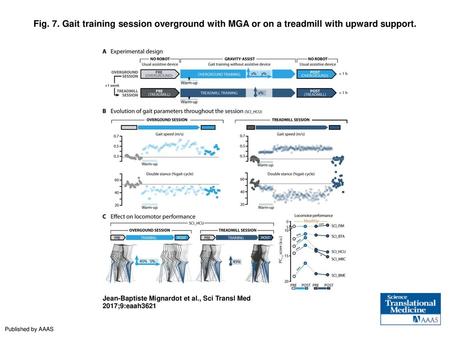 Fig. 7. Gait training session overground with MGA or on a treadmill with upward support. Gait training session overground with MGA or on a treadmill with.