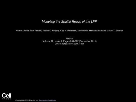 Modeling the Spatial Reach of the LFP