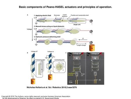 Basic components of Peano-HASEL actuators and principles of operation.