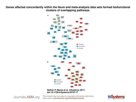 Genes affected concordantly within the ileum and meta-analysis data sets formed biofunctional clusters of overlapping pathways. Genes affected concordantly.