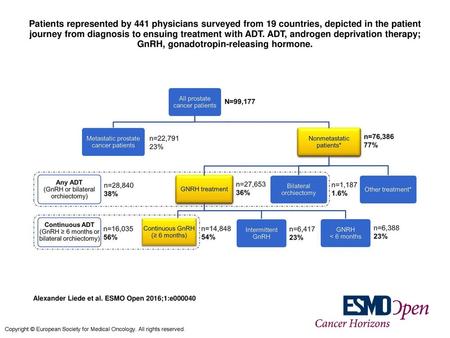 Patients represented by 441 physicians surveyed from 19 countries, depicted in the patient journey from diagnosis to ensuing treatment with ADT. ADT, androgen.