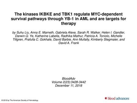 The kinases IKBKE and TBK1 regulate MYC-dependent survival pathways through YB-1 in AML and are targets for therapy by Suhu Liu, Anna E. Marneth, Gabriela.