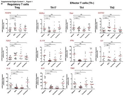 Effector T cells (Th-) Regulatory T cells Treg Th17 Th1 Th2