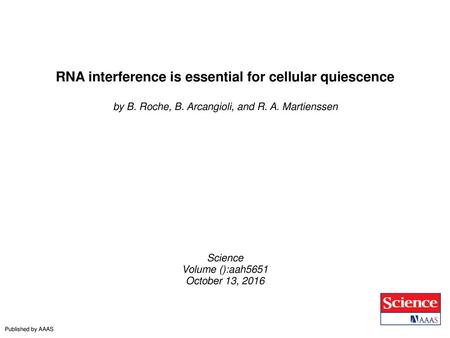 RNA interference is essential for cellular quiescence