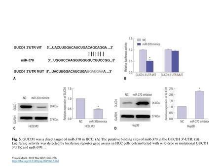 Fig. 5. GUCD1 was a direct target of miR-370 in HCC