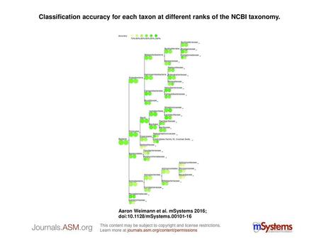 Classification accuracy for each taxon at different ranks of the NCBI taxonomy. Classification accuracy for each taxon at different ranks of the NCBI taxonomy.