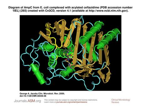 Diagram of AmpC from E. coli complexed with acylated ceftazidime (PDB accession number 1IEL) (265) created with Cn3CD, version 4.1 (available at http://www.ncbi.nlm.nih.gov).