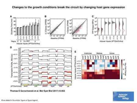 Changes to the growth conditions break the circuit by changing host gene expression Changes to the growth conditions break the circuit by changing host.