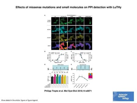 Effects of missense mutations and small molecules on PPI detection with LuTHy Effects of missense mutations and small molecules on PPI detection with LuTHy.