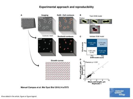 Experimental approach and reproducibility