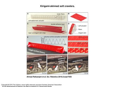 Kirigami-skinned soft crawlers.