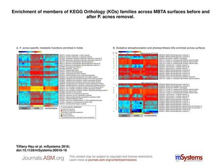 Enrichment of members of KEGG Orthology (KOs) families across MBTA surfaces before and after P. acnes removal. Enrichment of members of KEGG Orthology.