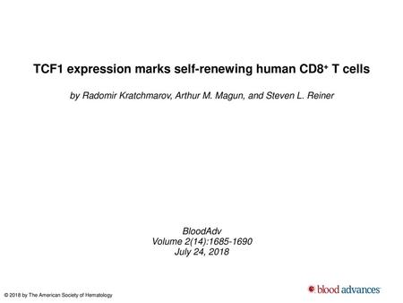 TCF1 expression marks self-renewing human CD8+ T cells