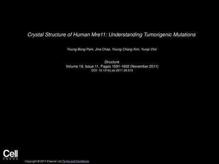 Crystal Structure of Human Mre11: Understanding Tumorigenic Mutations