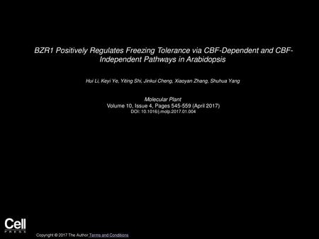 BZR1 Positively Regulates Freezing Tolerance via CBF-Dependent and CBF- Independent Pathways in Arabidopsis  Hui Li, Keyi Ye, Yiting Shi, Jinkui Cheng,