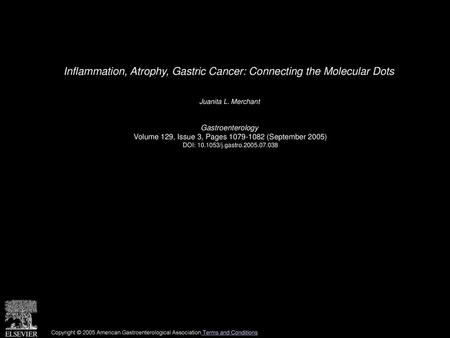 Inflammation, Atrophy, Gastric Cancer: Connecting the Molecular Dots