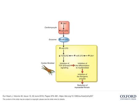 Unless provided in the caption above, the following copyright applies to the content of this slide: Published on behalf of the European Society of Cardiology.