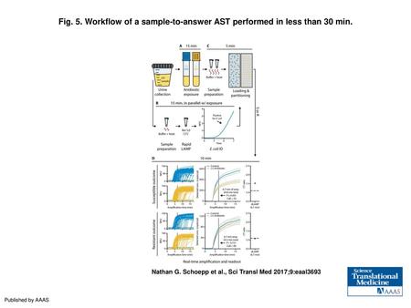 Workflow of a sample-to-answer AST performed in less than 30 min