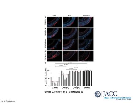 Elysse C. Filipe et al. BTS 2018;3:38-53