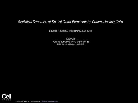 Statistical Dynamics of Spatial-Order Formation by Communicating Cells