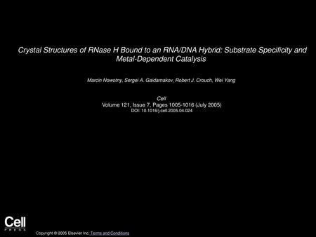 Crystal Structures of RNase H Bound to an RNA/DNA Hybrid: Substrate Specificity and Metal-Dependent Catalysis  Marcin Nowotny, Sergei A. Gaidamakov, Robert.