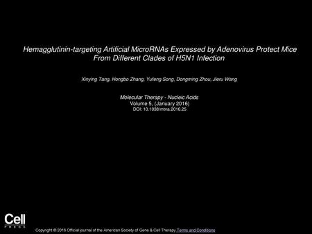 Hemagglutinin-targeting Artificial MicroRNAs Expressed by Adenovirus Protect Mice From Different Clades of H5N1 Infection  Xinying Tang, Hongbo Zhang,