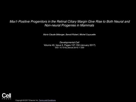 Msx1-Positive Progenitors in the Retinal Ciliary Margin Give Rise to Both Neural and Non-neural Progenies in Mammals  Marie-Claude Bélanger, Benoit Robert,