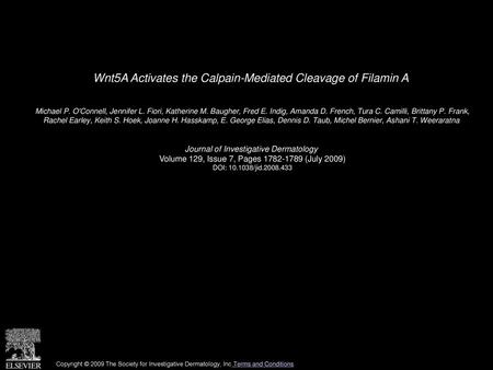 Wnt5A Activates the Calpain-Mediated Cleavage of Filamin A