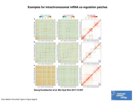 Examples for intrachromosomal mRNA co‐regulation patches