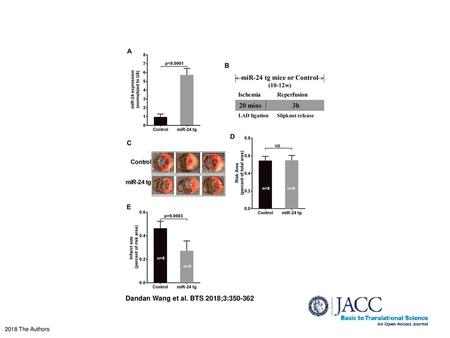 Dandan Wang et al. BTS 2018;3:350-362 Cardiomyocyte-Specific Knock-In miR-24 Ameliorates Ischemia/Reperfusion Injury (A) Quantitative polymerase chain.