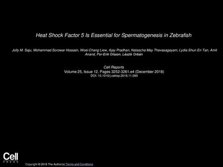 Heat Shock Factor 5 Is Essential for Spermatogenesis in Zebrafish