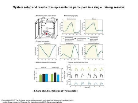 System setup and results of a representative participant in a single training session. System setup and results of a representative participant in a single.