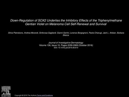 Down-Regulation of SOX2 Underlies the Inhibitory Effects of the Triphenylmethane Gentian Violet on Melanoma Cell Self-Renewal and Survival  Silvia Pietrobono,