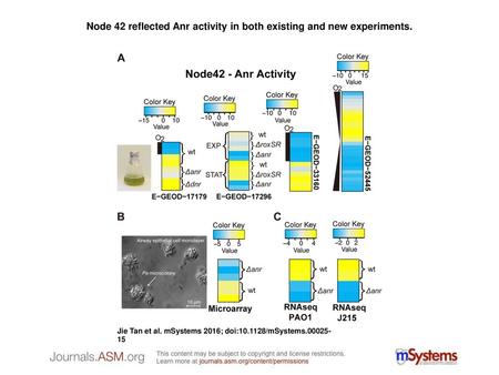 Node 42 reflected Anr activity in both existing and new experiments.