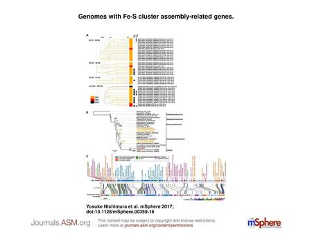 Genomes with Fe-S cluster assembly-related genes.