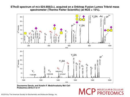 EThcD spectrum of m/z 624.950(3+), acquired on a Orbitrap Fusion Lumos Tribrid mass spectrometer (Thermo Fisher Scientific) (at NCE = 15%). EThcD spectrum.