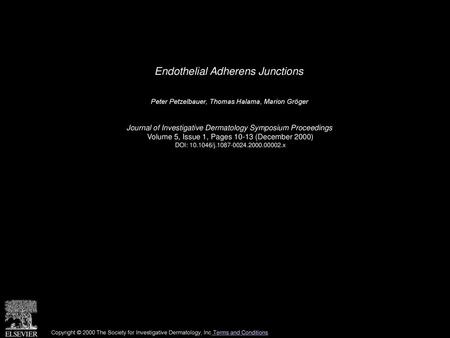 Endothelial Adherens Junctions