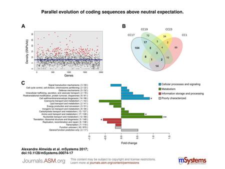 Parallel evolution of coding sequences above neutral expectation.