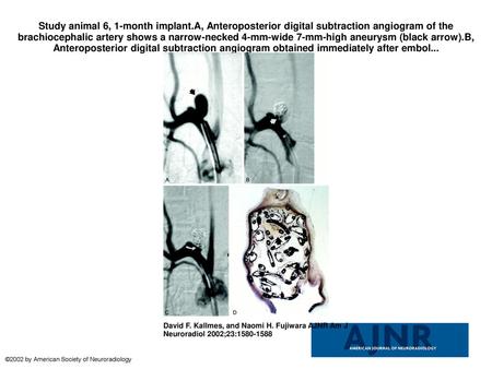 Study animal 6, 1-month implant