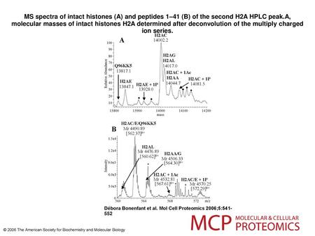 MS spectra of intact histones (A) and peptides 1–41 (B) of the second H2A HPLC peak.A, molecular masses of intact histones H2A determined after deconvolution.