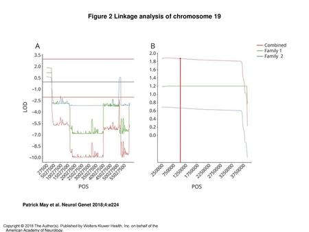 Figure 2 Linkage analysis of chromosome 19