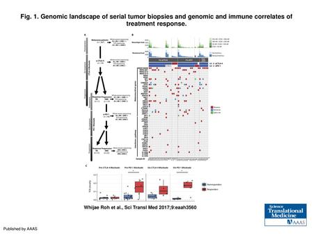 Fig. 1. Genomic landscape of serial tumor biopsies and genomic and immune correlates of treatment response. Genomic landscape of serial tumor biopsies.