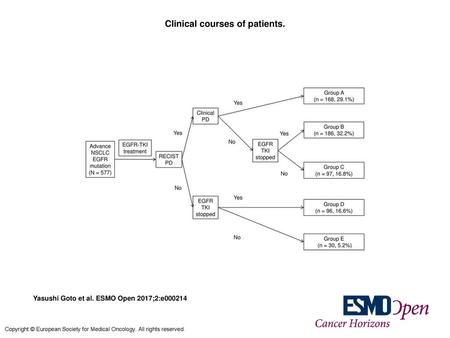 Clinical courses of patients.