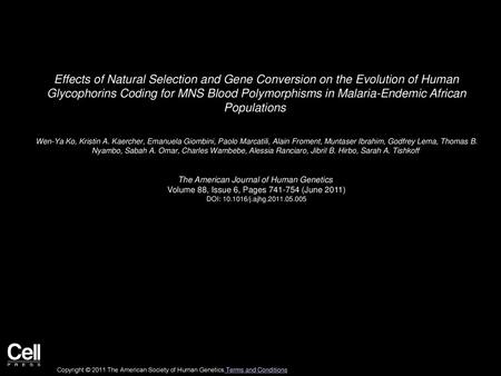 Effects of Natural Selection and Gene Conversion on the Evolution of Human Glycophorins Coding for MNS Blood Polymorphisms in Malaria-Endemic African.