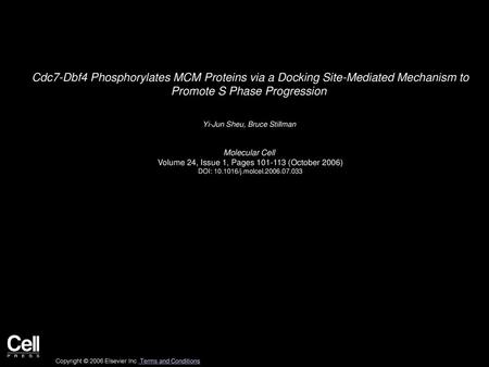 Cdc7-Dbf4 Phosphorylates MCM Proteins via a Docking Site-Mediated Mechanism to Promote S Phase Progression  Yi-Jun Sheu, Bruce Stillman  Molecular Cell 