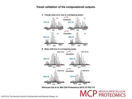 Visual validation of the computational outputs.