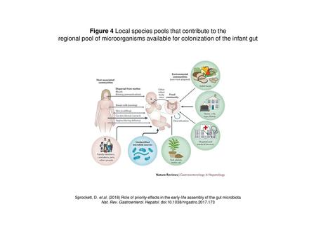 Figure 4 Local species pools that contribute to the