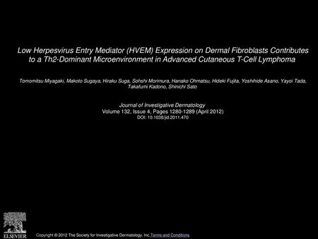 Low Herpesvirus Entry Mediator (HVEM) Expression on Dermal Fibroblasts Contributes to a Th2-Dominant Microenvironment in Advanced Cutaneous T-Cell Lymphoma 