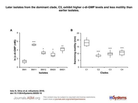 Later isolates from the dominant clade, C3, exhibit higher c-di-GMP levels and less motility than earlier isolates. Later isolates from the dominant clade,