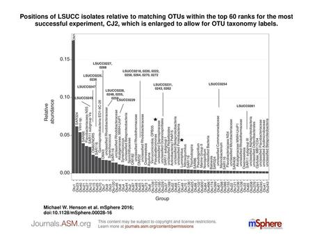 Positions of LSUCC isolates relative to matching OTUs within the top 60 ranks for the most successful experiment, CJ2, which is enlarged to allow for OTU.